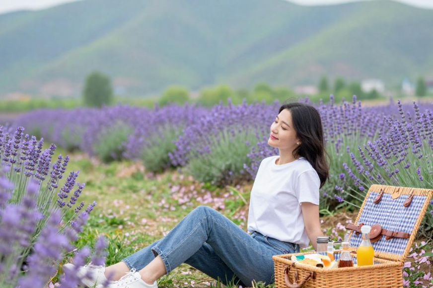 踏春赏花,2026让美景变“钱景” 踏春赏花,2026让美景变“钱景”