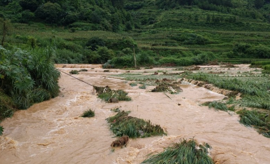 4月17日广东南部将有10级以上雷暴大风 今明两天华南等地有短时强降雨天气