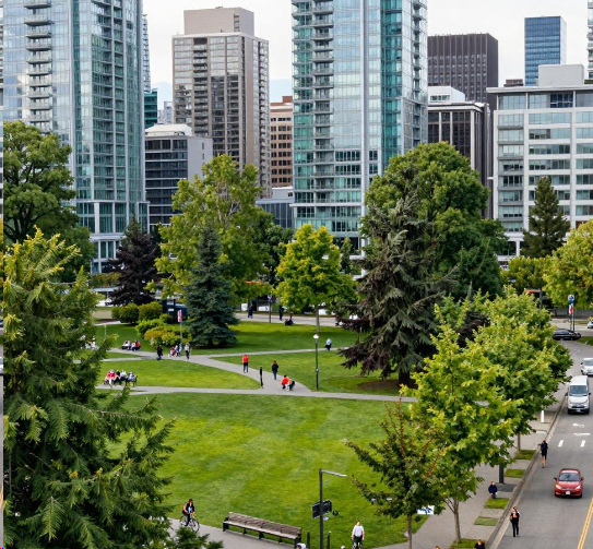 在加拿大如何注册公司？2026加拿大公司注册有哪些优势？