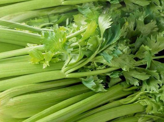 芹菜怎么吃才健康又养身,芹菜巧搭配助力柔筋调肝 芹菜怎么吃才健康又养身,芹菜巧搭配助力柔筋调肝