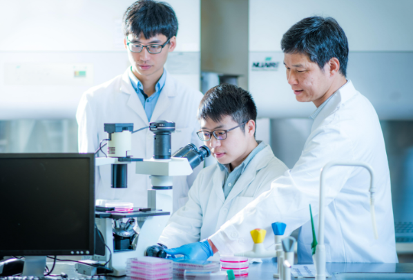 我国开发出普适性关键金属离子膜分离方法 有望推动金属资源提取技术的绿色变革