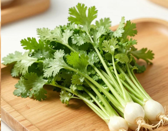 吃香菜就等于喝降糖茶吗?2026吃香菜真的能降糖吗? 吃香菜就等于喝降糖茶吗?2026吃香菜真的能降糖吗?