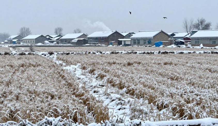 立夏前为何突降鹅毛大雪,陕西咸阳四月飞雪 立夏前为何突降鹅毛大雪,陕西咸阳四月飞雪