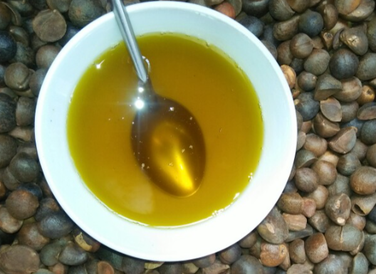 茶油的功效和作用有哪些 日常用茶油烹饪对身体有什么好处