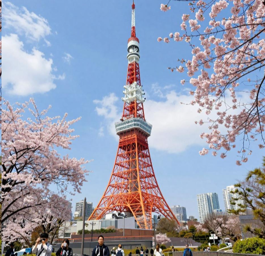 >2026日本非金属矿运输行业公司办理营业执照多少钱？
