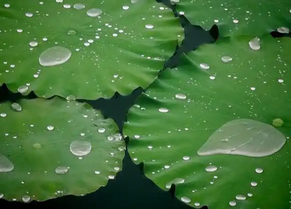 未来三天广东广西有较强降水天气 今明两天青海南部地区有雨夹雪天气
