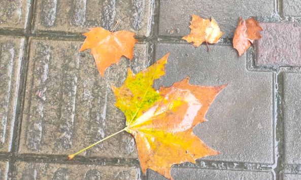 未来三天广东广西有较强降水天气 今明两天青海南部地区有雨夹雪天气