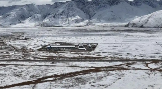 中国首次实现批量克隆10头牦牛 中国在牦牛育种领域达到国际先进水平 中国首次实现批量克隆10头牦牛 中国在牦牛育种领域达到国际先进水平