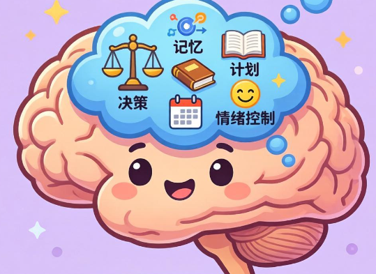 “全网最尊重前额叶的博主”火了 2026前额叶的隐形消耗