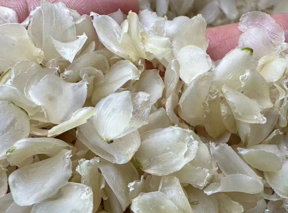 皂角米的功效与作用有哪些 皂角米不能和什么一起服用