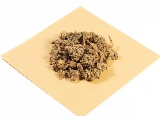 梦花的功效与作用有哪些 梦花与哪些药材一起使用效果更好
