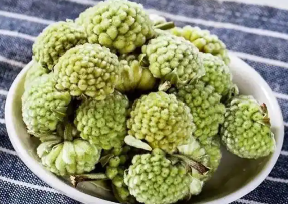 梦花的功效与作用有哪些 梦花与哪些药材一起使用效果更好