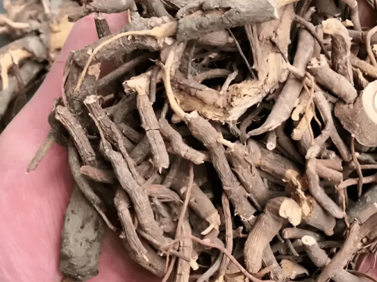 虎刺的功效与作用有哪些 虎刺不能和哪些药材一起使用