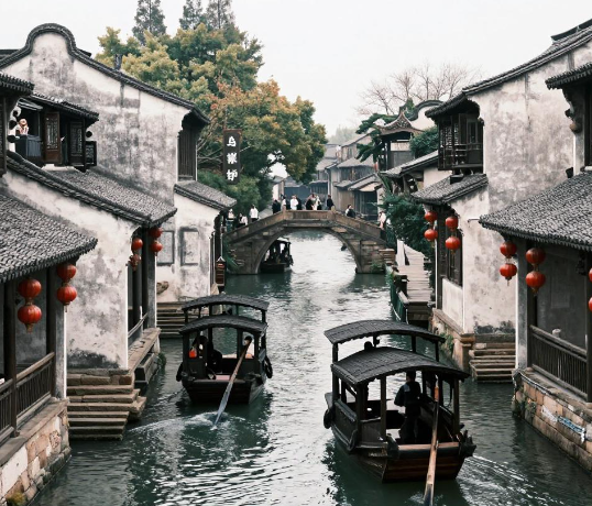 浙江一海岛迎捉蜈蚣旺季 2026金头蜈蚣:海岛百年药材传奇 浙江一海岛迎捉蜈蚣旺季 2026金头蜈蚣:海岛百年药材传奇