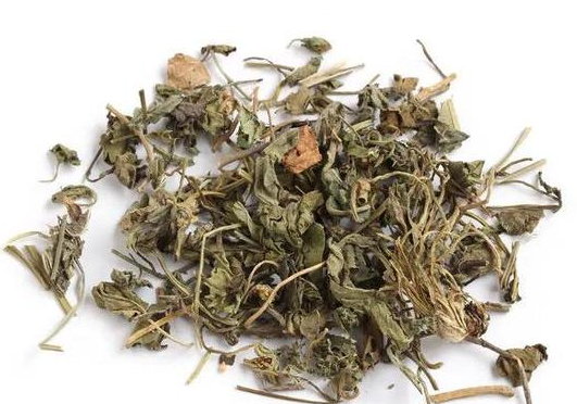 紫花地丁草的功效与作用有哪些 紫花地丁草与什么药材一起使用效果更好