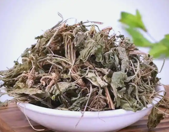 紫花地丁草的功效与作用有哪些 紫花地丁草与什么药材一起使用效果更好