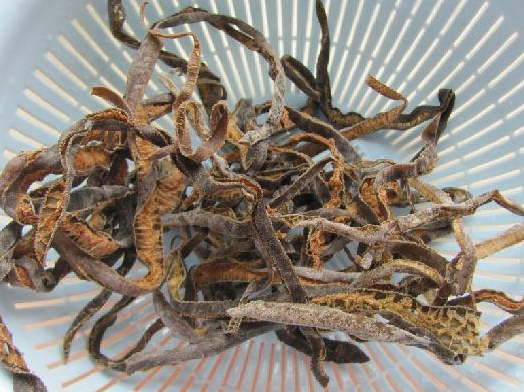 海茸的功效与作用有哪些 海茸不能和哪些东西一起食用