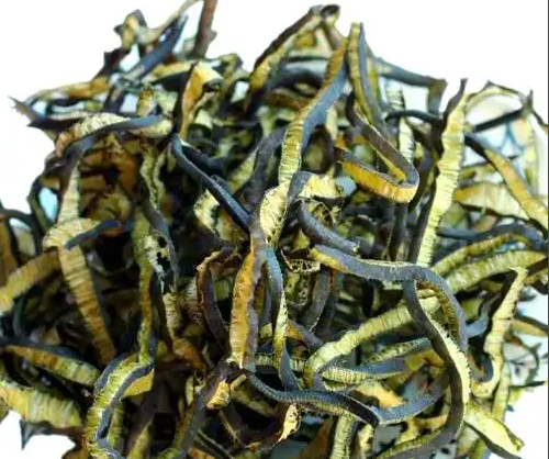 海茸的功效与作用有哪些 海茸不能和哪些东西一起食用