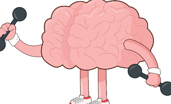 易怒爱走神是前额叶受损吗?专家解读 前额叶功能性状态不佳如何改善 易怒爱走神是前额叶受损吗?专家解读 前额叶功能性状态不佳如何改善