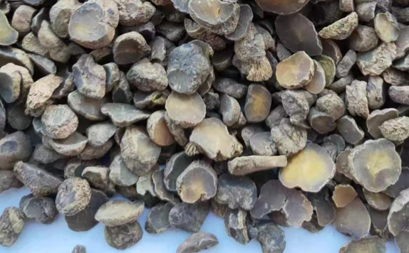 延胡索的功效与作用有哪些 延胡索和哪些药材一起使用效果更好