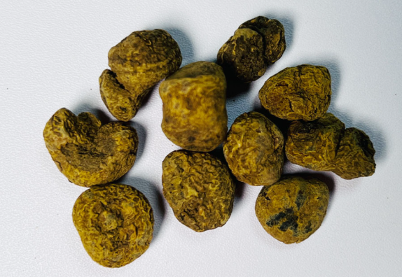 延胡索的功效与作用有哪些 延胡索和哪些药材一起使用效果更好