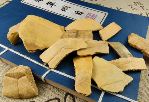 龟甲的功效与作用有哪些 龟甲和哪些药材一起使用效果更好
