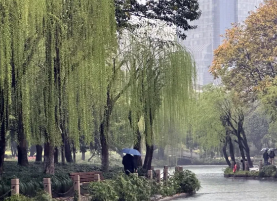 多地将体验隔天如跨季 未来几天北方大部分地区降温幅度可达15℃以上 多地将体验隔天如跨季 未来几天北方大部分地区降温幅度可达15℃以上