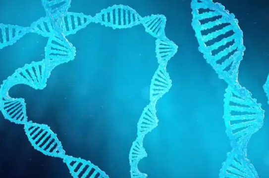 美国团队开发首个DNA引导的CRISPR编辑系统 科学家首次用DNA引导CRISPR基因编辑
