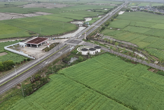 “湘油228”刷新短生育期油菜单产纪录 湘油228平均亩产达到214.1公斤