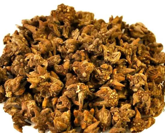 猫爪草长什么样如何分辨 猫爪草的功效与作用有哪些