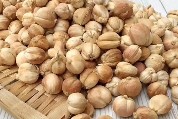 白蔻的功效与作用有哪些 白蔻和哪些药材一起使用效果更好