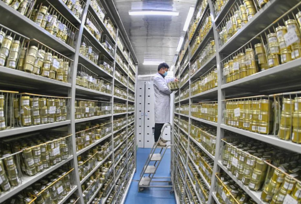 辽宁省种质资源库已保存3万多份种质资源 辽宁省种质资源库总库容达到50万份
