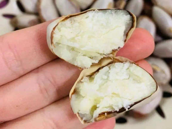 榴莲核可以煲汤吗？ 榴莲核的功效与作用有哪些
