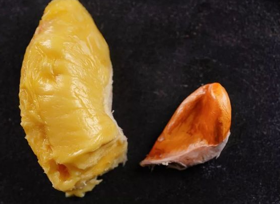 榴莲核可以煲汤吗？ 榴莲核的功效与作用有哪些
