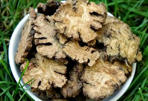 川芎的功效与作用有哪些 川芎和哪些药材一起使用效果更好