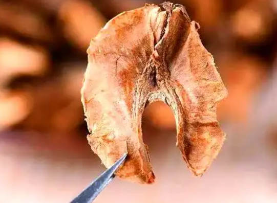 胡桃的功效与作用有哪些 胡桃不能和哪些药材一起使用
