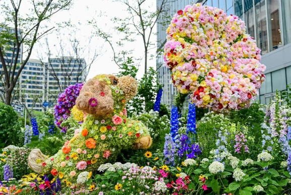 一只潦草小狗带火20亿元商圈 城市花卉需求带动花卉绿植经济发展