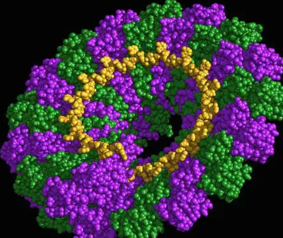 我国首款RNA生物农药获批 全球首款RNA杀菌剂在中国正式获批