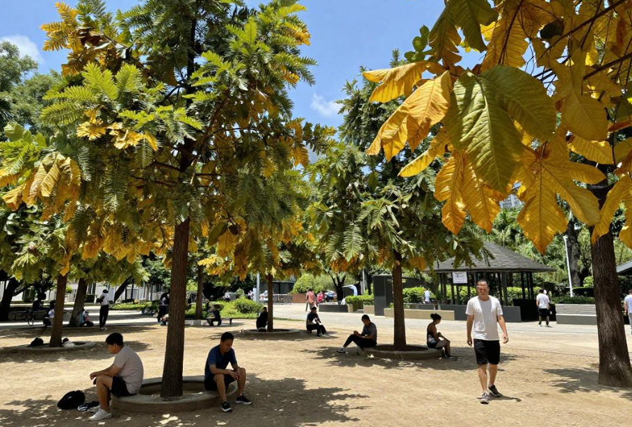 南方迎今年来最大范围高温闷热天气,多地拉响高温预警 南方迎今年来最大范围高温闷热天气,多地拉响高温预警