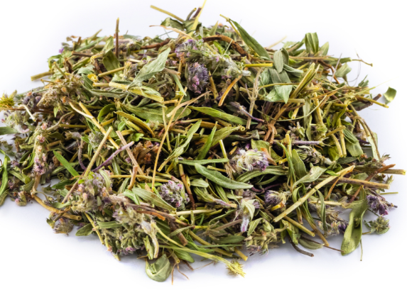 半枝莲的功效与作用有哪些 半枝莲与哪些药材一起使用效果更好
