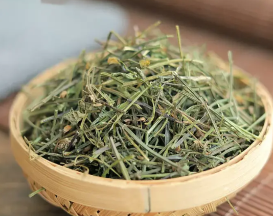 半枝莲的功效与作用有哪些 半枝莲与哪些药材一起使用效果更好
