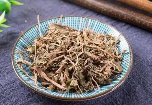 地菍的功效与作用有哪些 地菍和哪些药材搭配使用效果更好