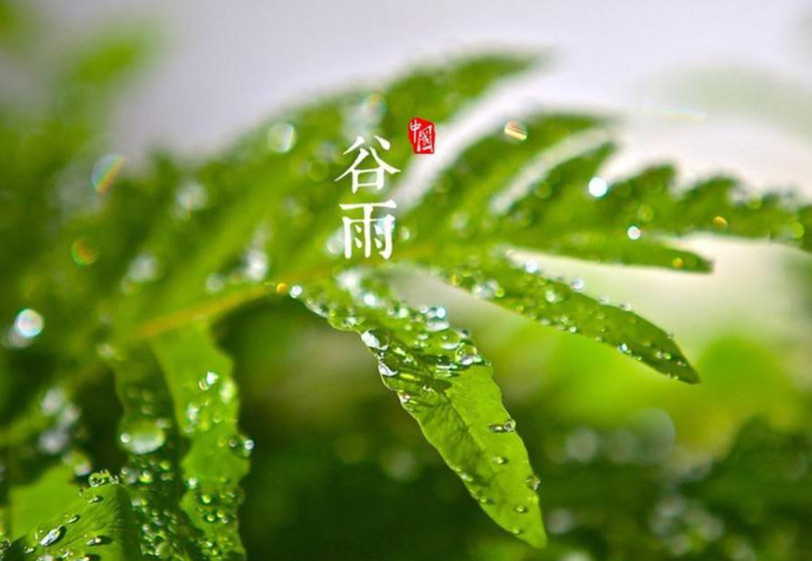 雨雨雨这份防潮指南请收藏，持续降雨潮湿天气易滋生细菌