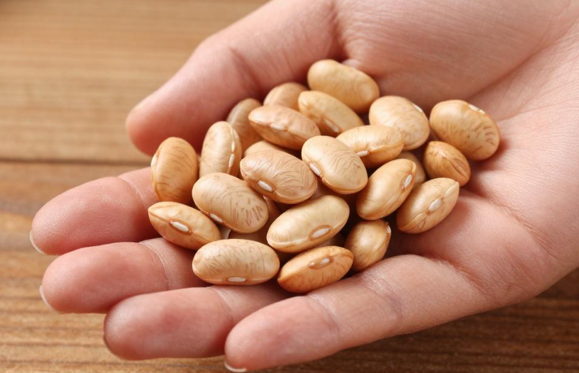 每天一把豆比吃肉还管用 2026每天一把豆这样吃简单又有效