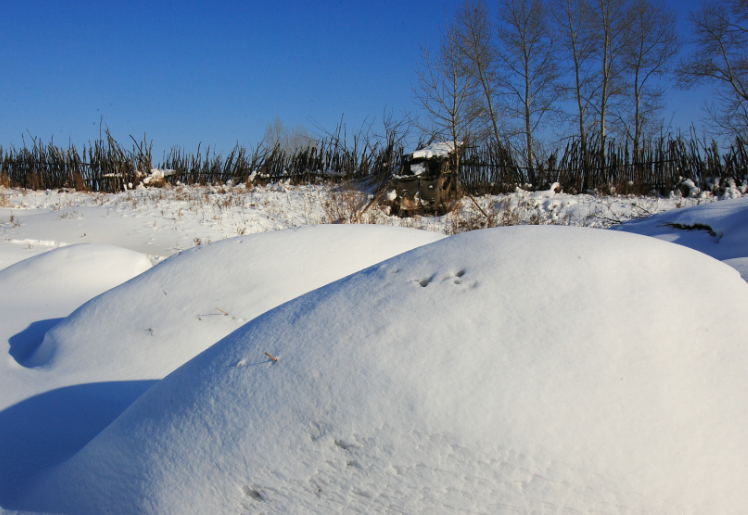 内蒙古根河突降大雪，内蒙古大雪是受西伯利亚冷涡影响吗?