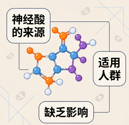 为什么聪明的人都在补神经酸？ 2026神经酸究竟有多强？