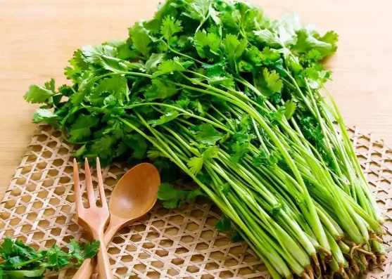香菜是抗炎的一把好手 香菜、薄荷这类香辛蔬菜能抵抗慢性炎症