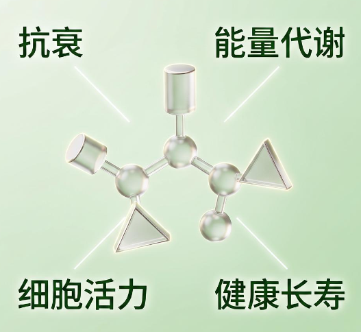 2026长期吃NMN身体哪些问题可能会“慢慢变好”？