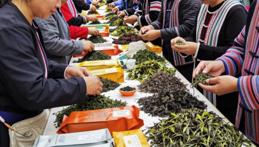 2026年锡莱特市茶叶拍卖有什么流程?