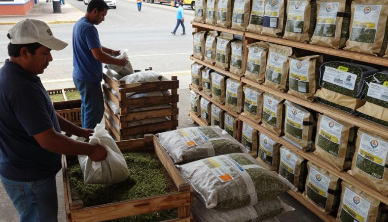 巴拉圭东方市出口马黛茶对公司有什么标准要求? 巴拉圭东方市出口马黛茶对公司有什么标准要求?